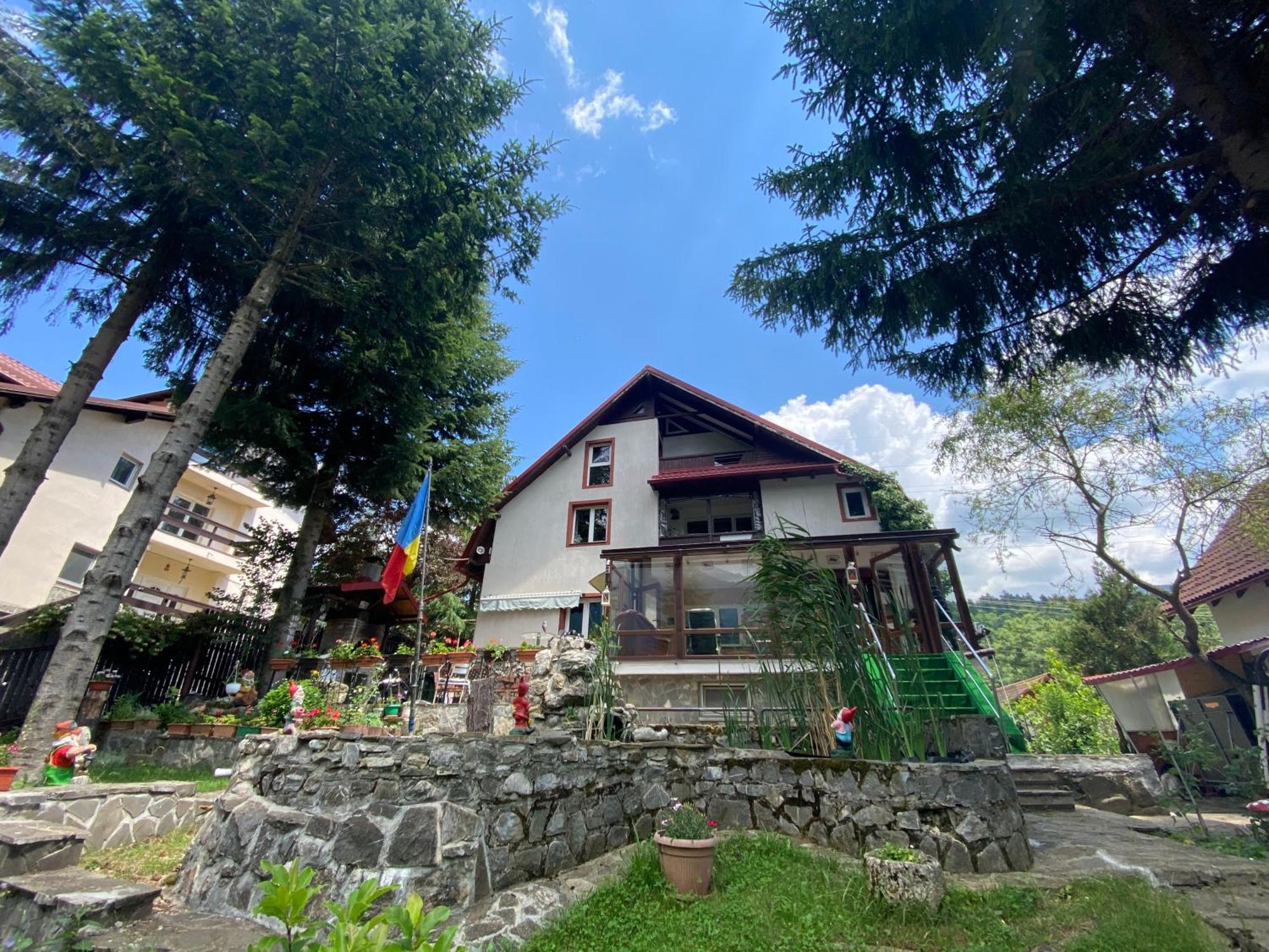 Vila Mara Buşteni Exteriér fotografie